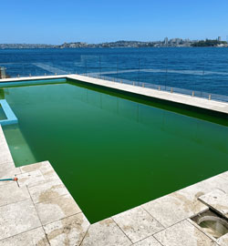 greenpool services